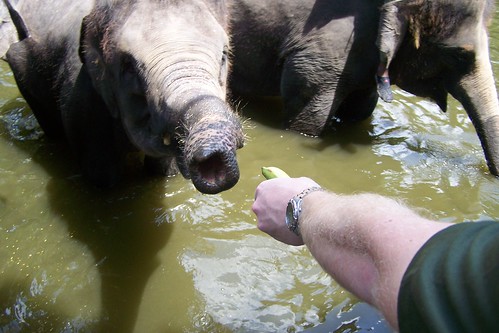 Singapore Zoo